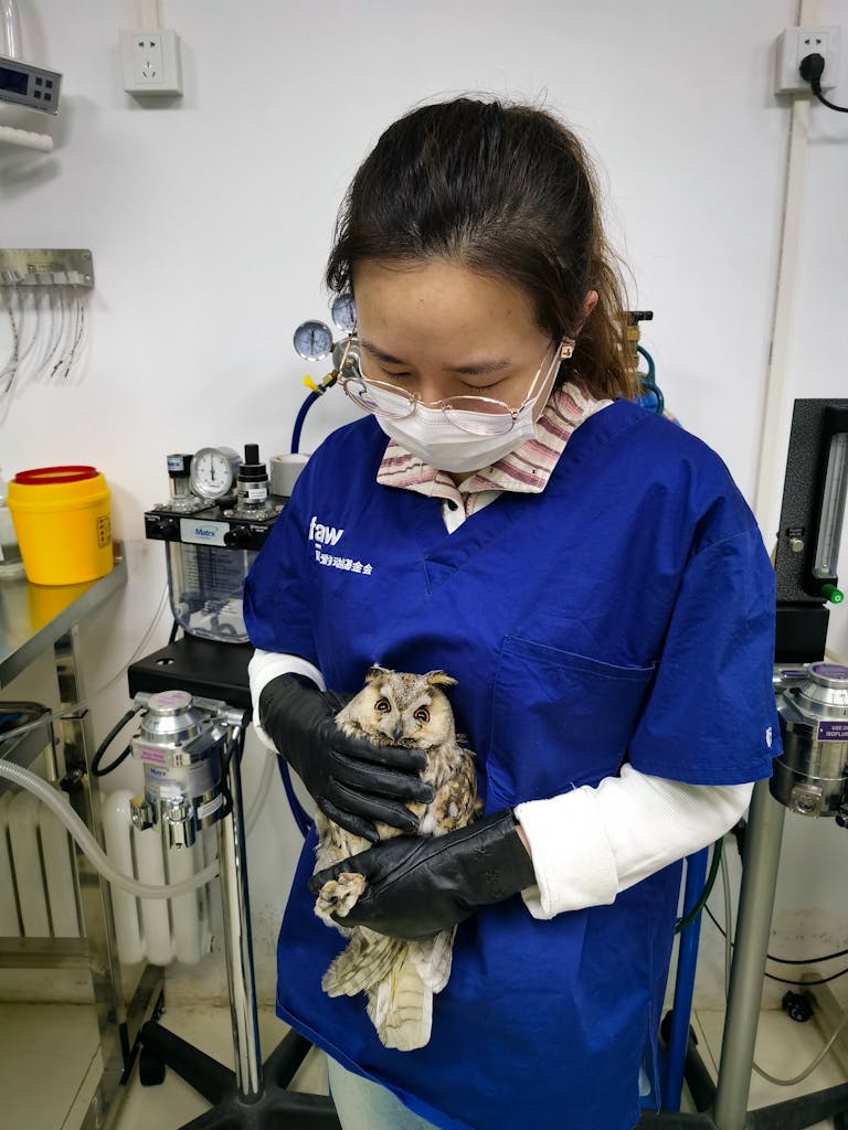 Veterinarian Holding a Long-Eared Owl
